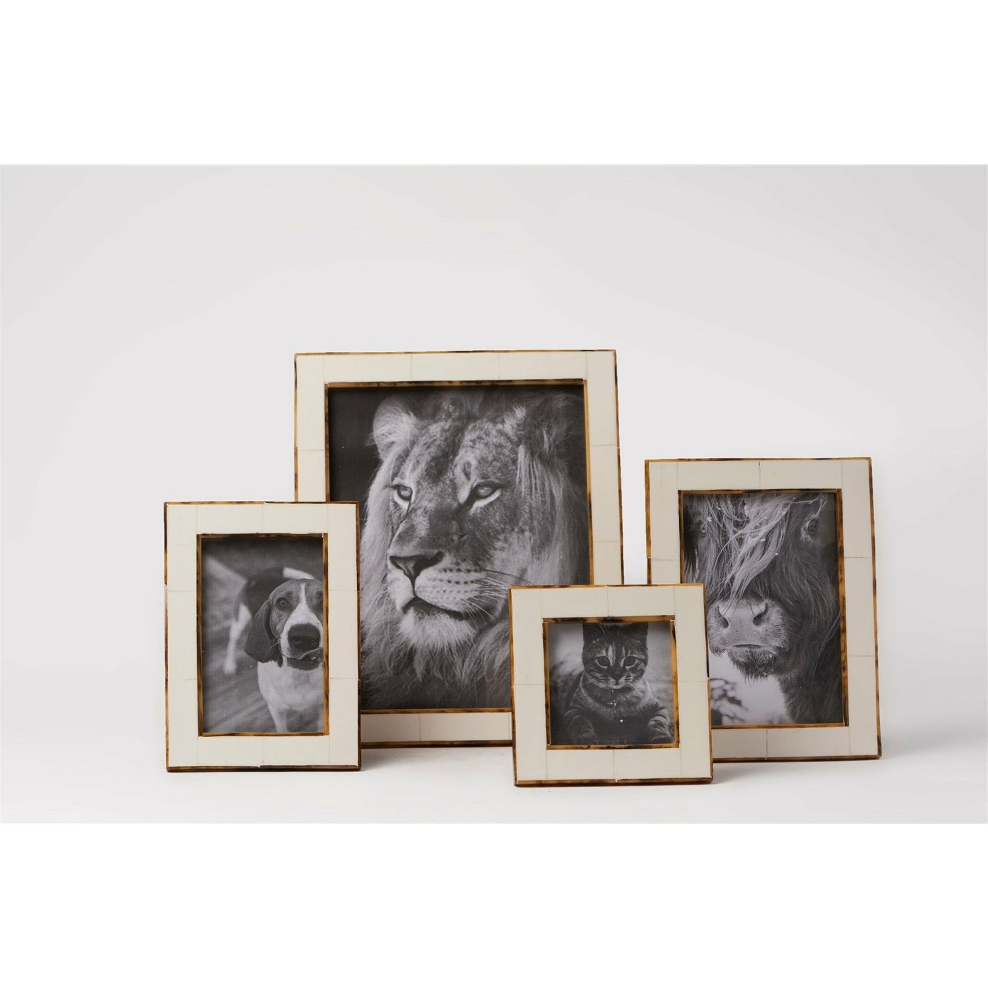 White Border Frame
