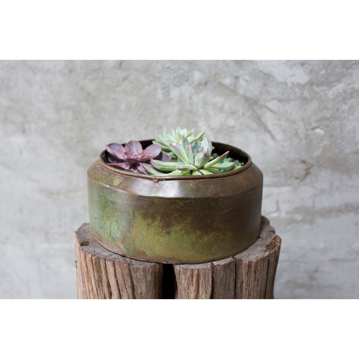 Lush Pot - Large