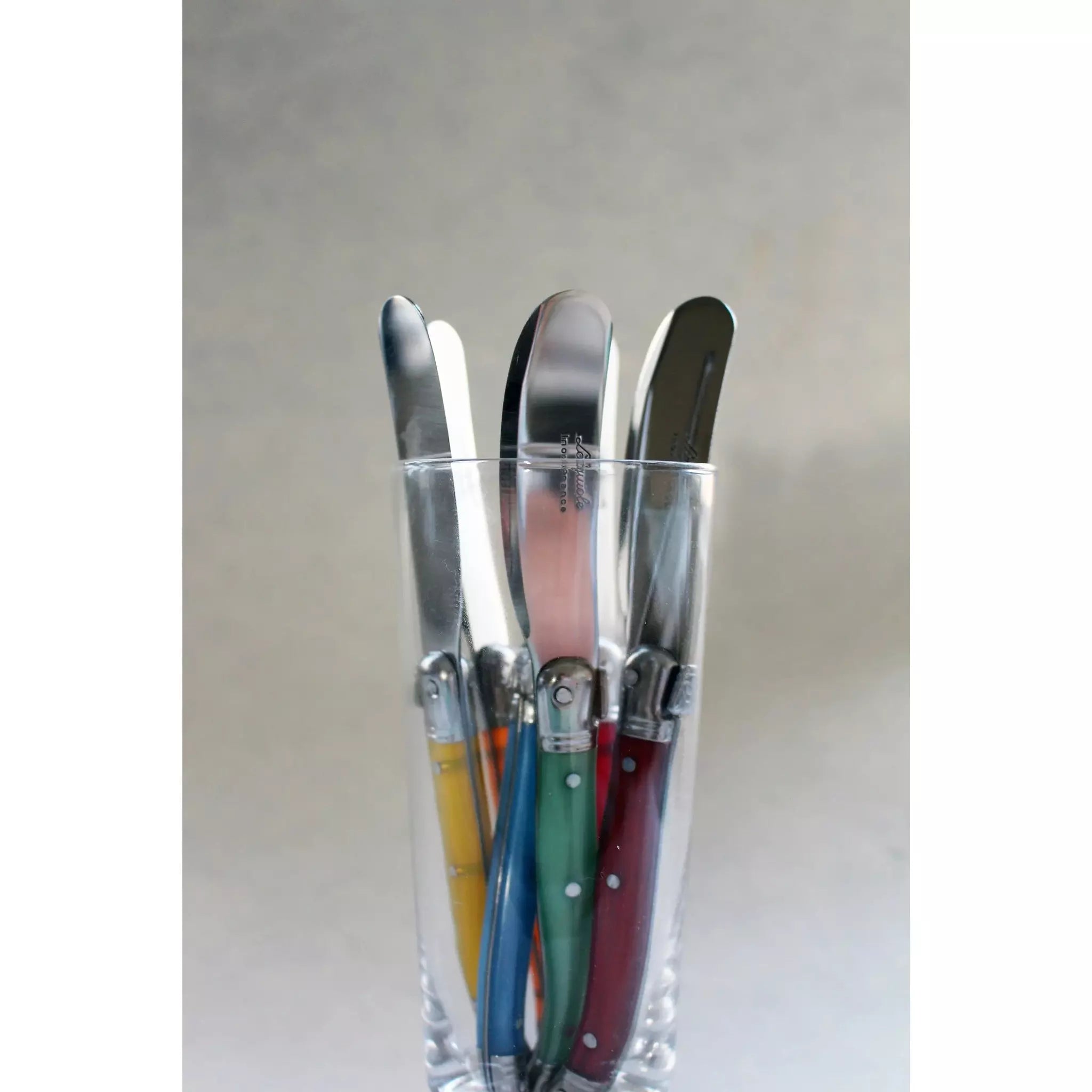 Laguiole Rainbow Mini Cheese Spreader.