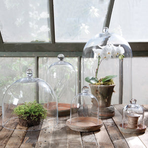 Clear Glass Dome