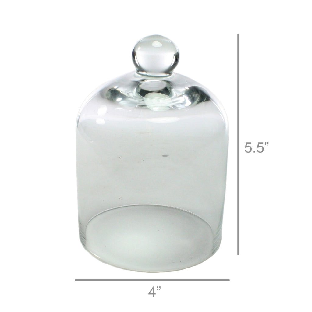 Clear Glass Dome