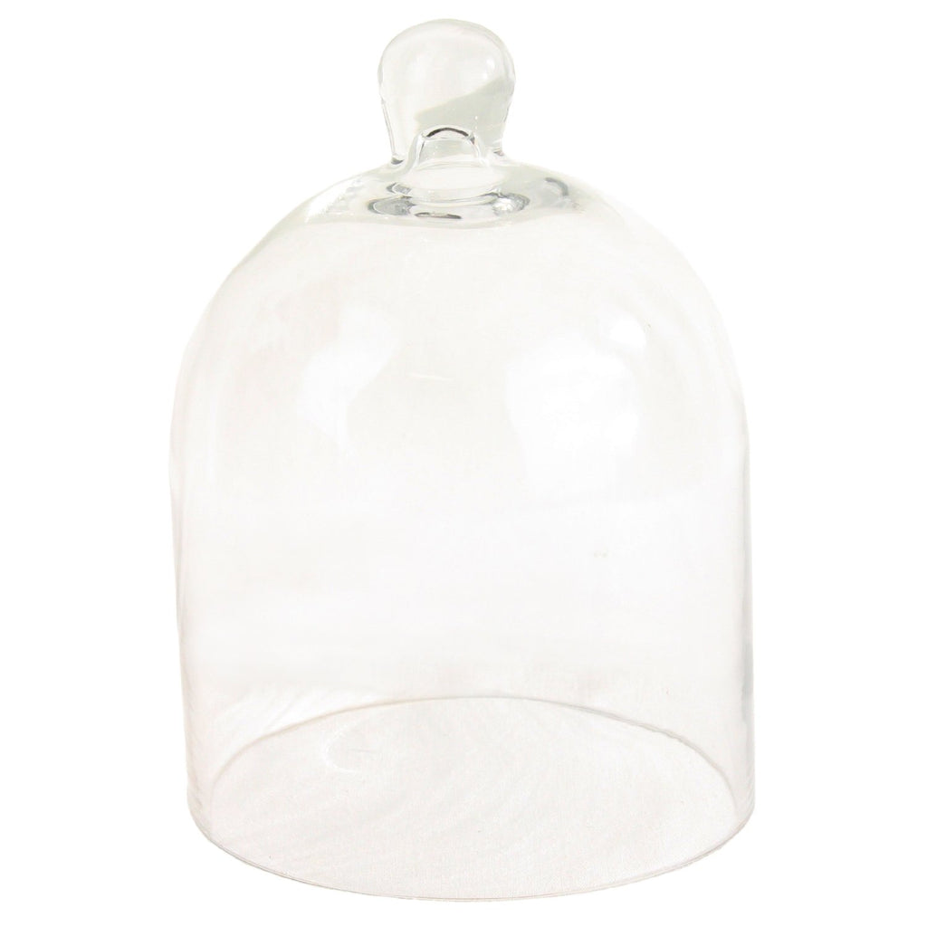 Clear Glass Dome