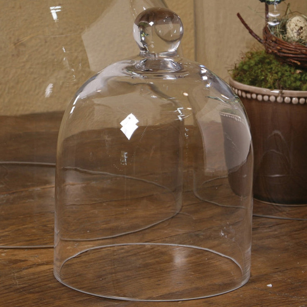 Clear Glass Dome