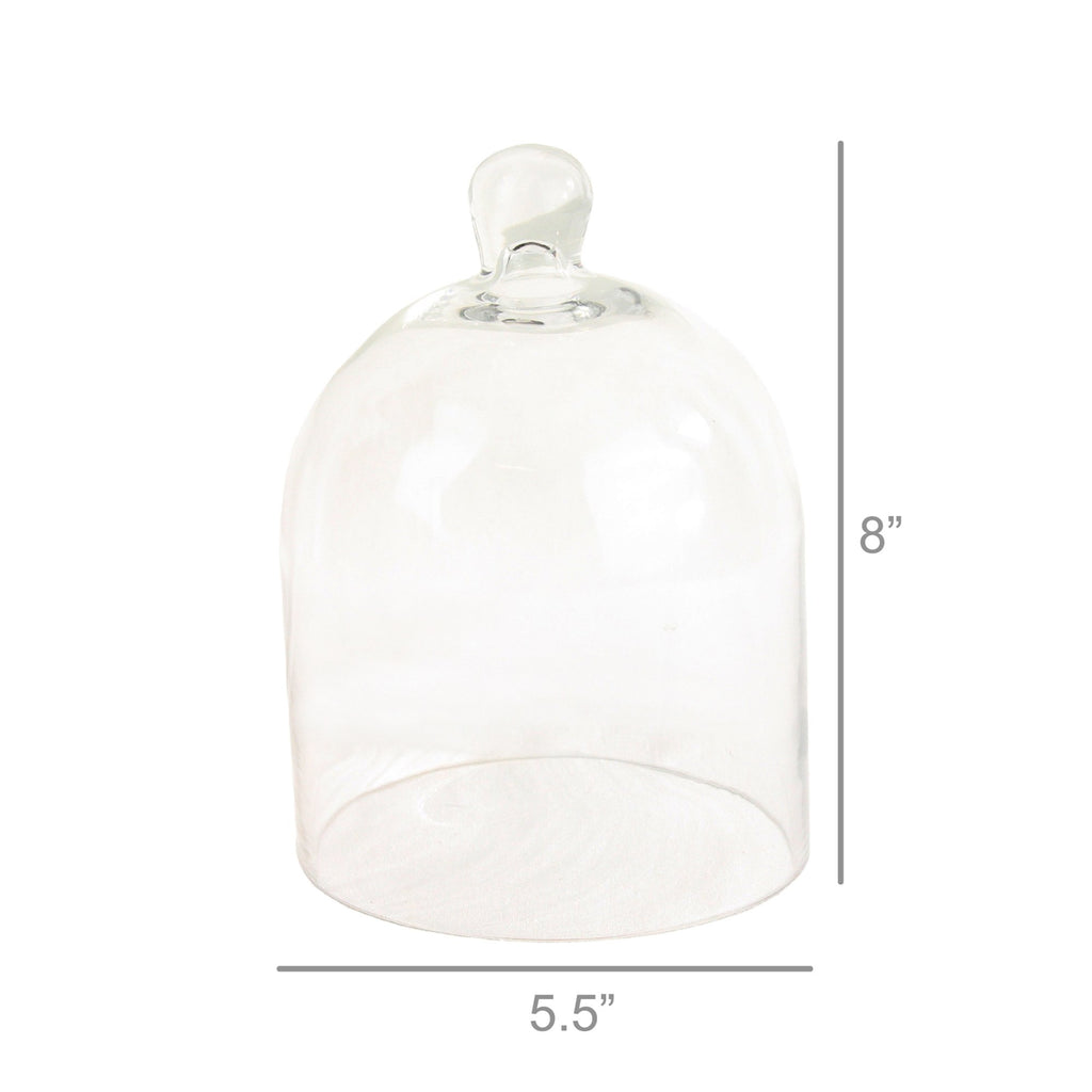 Clear Glass Dome