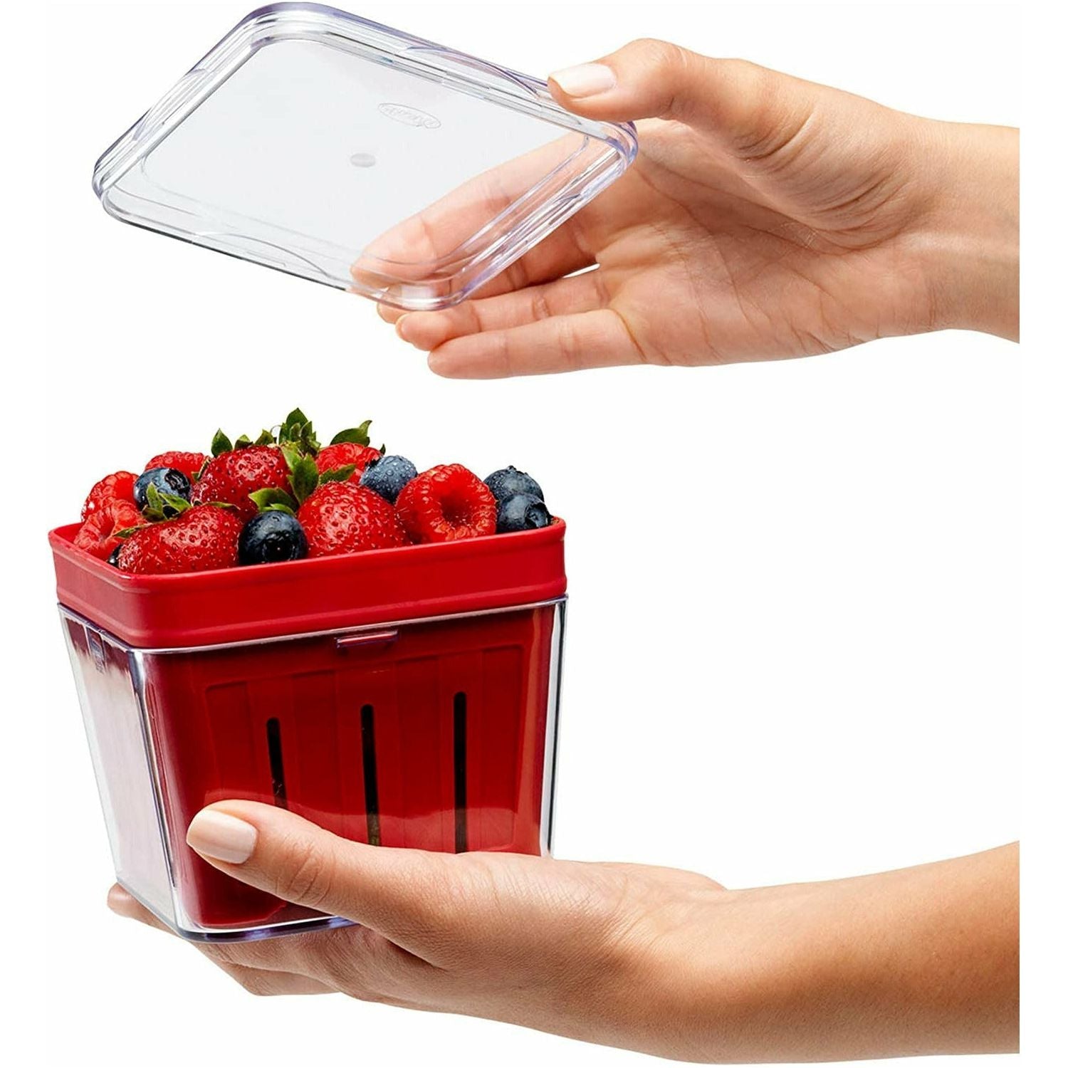 Bramble™  Berry Basket