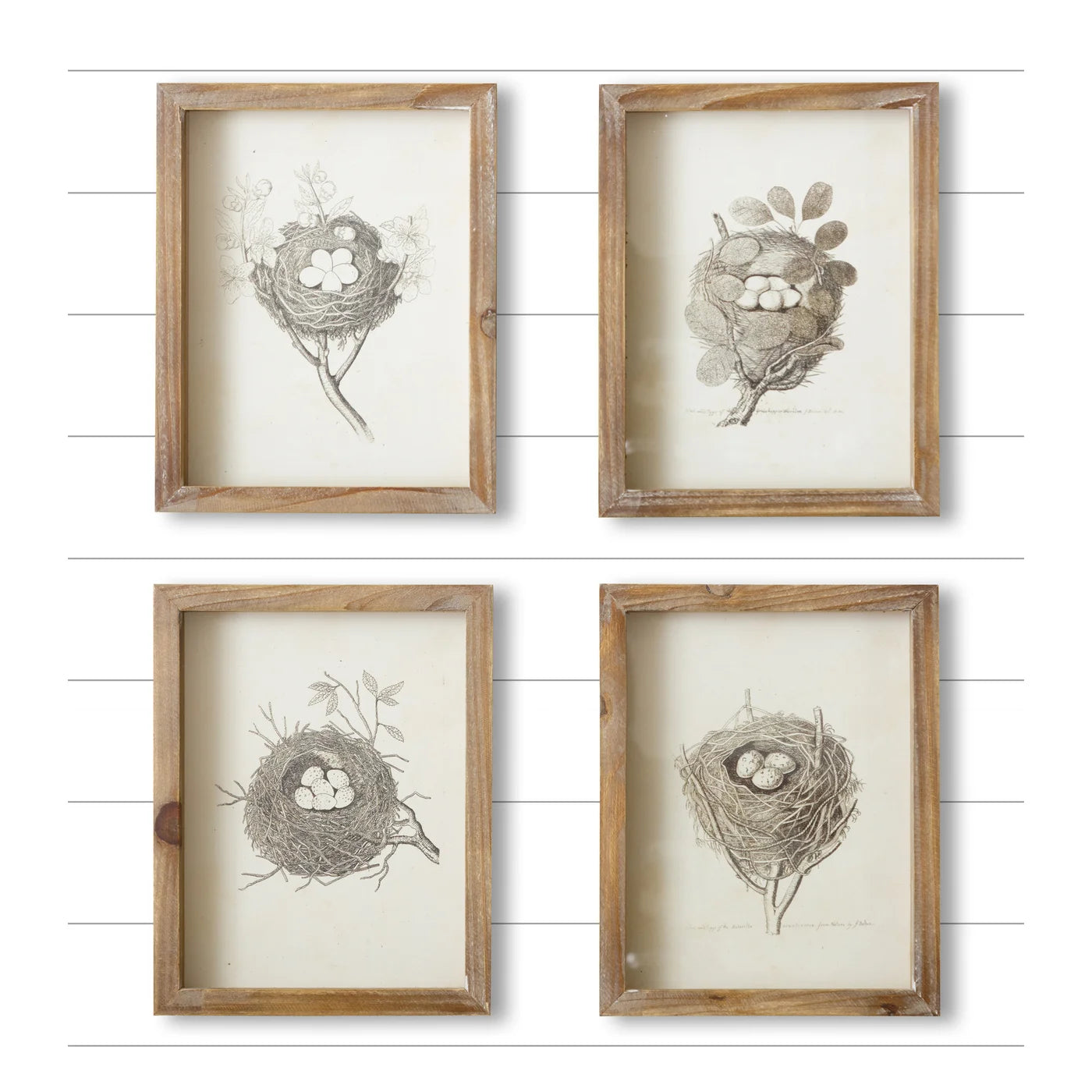 Nest Prints
