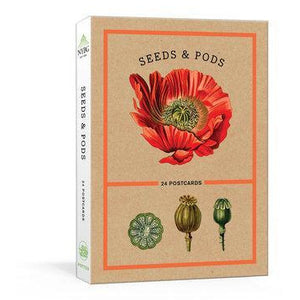 Seeds and Pods | 24 Postcards | Part of New York Botanical Garden