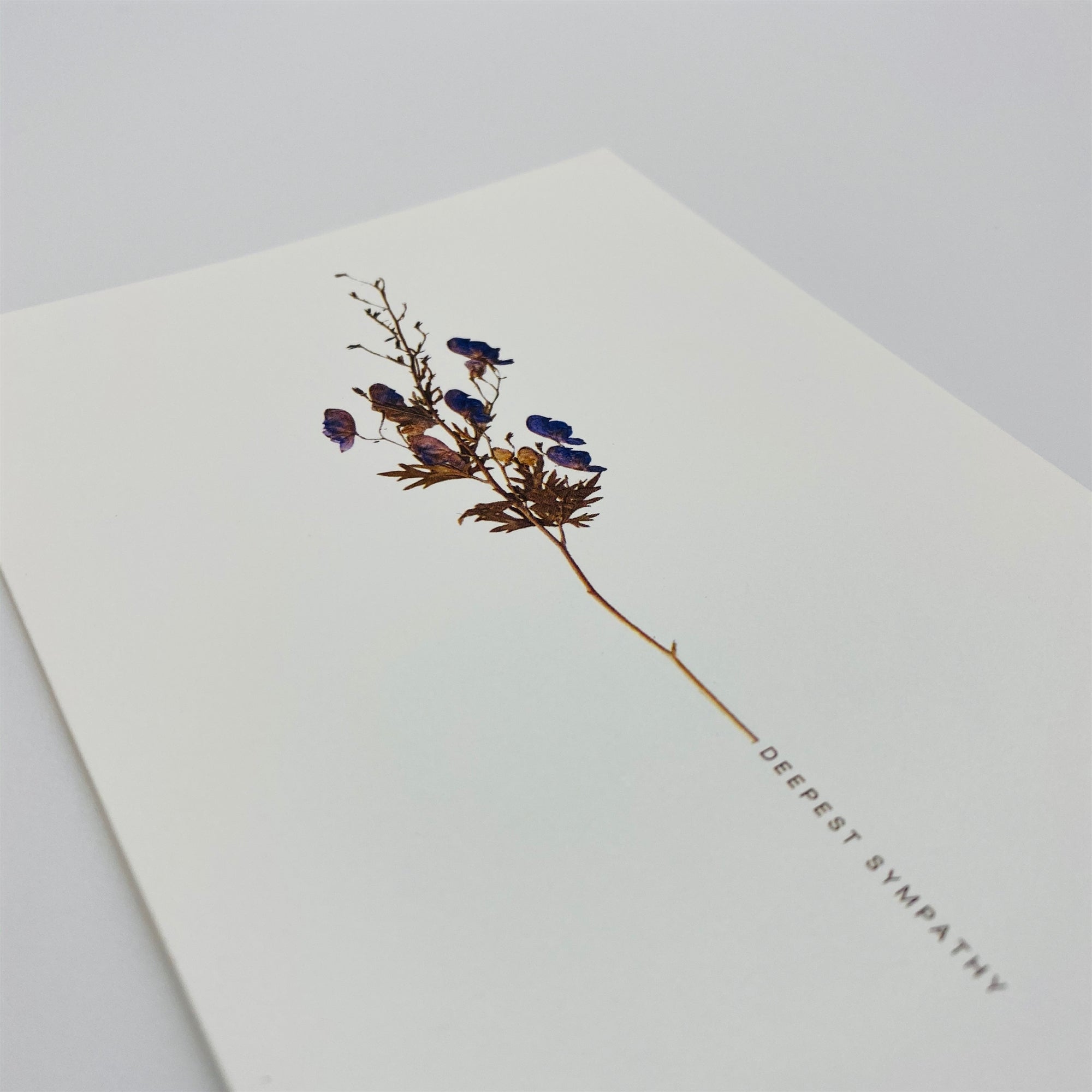 Greeting Cards