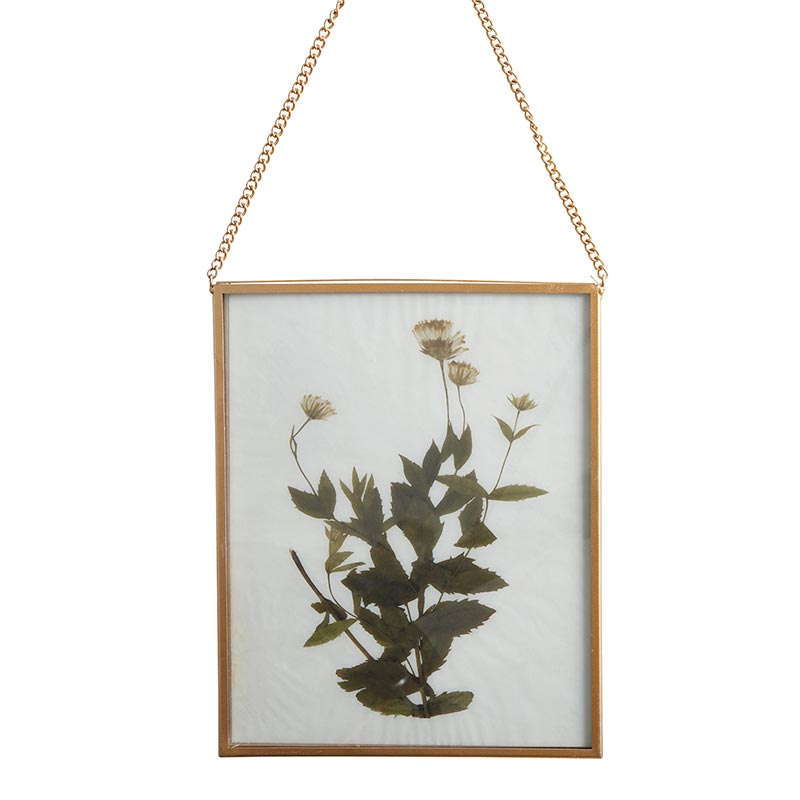 Hanging Gold Frame
