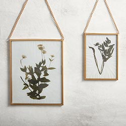 Hanging Gold Frame