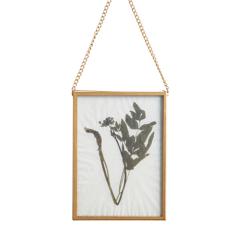 Hanging Gold Frame