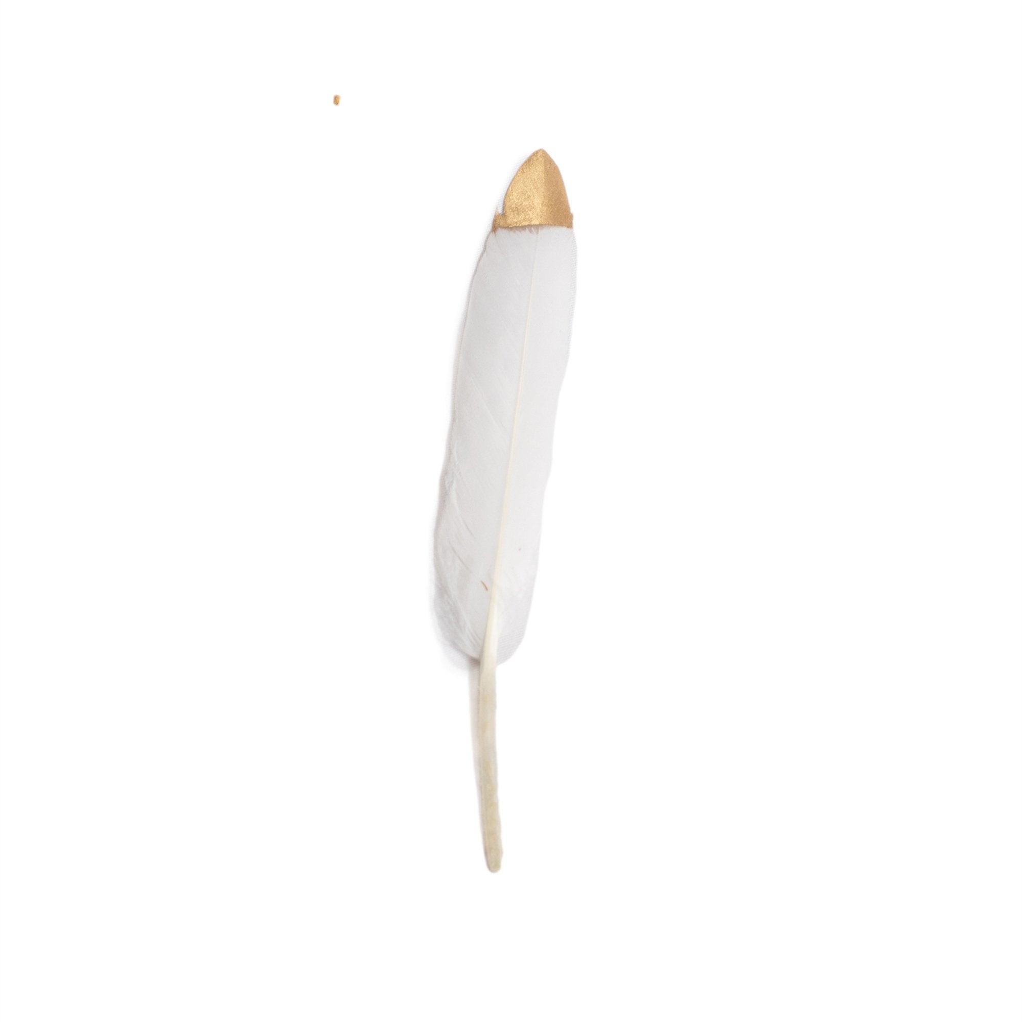Dipped Goose Feather