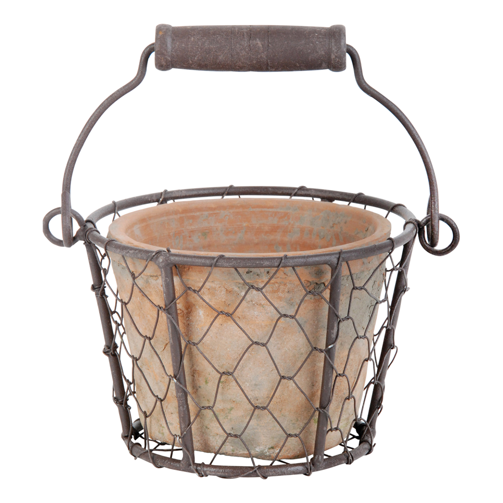 Aged Terracotta Pot w/Natural Mosses