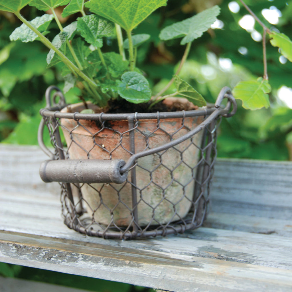 Aged Terracotta Pot w/Natural Mosses