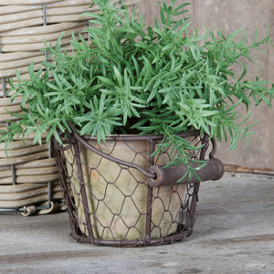 Aged Terracotta Pot w/Natural Mosses