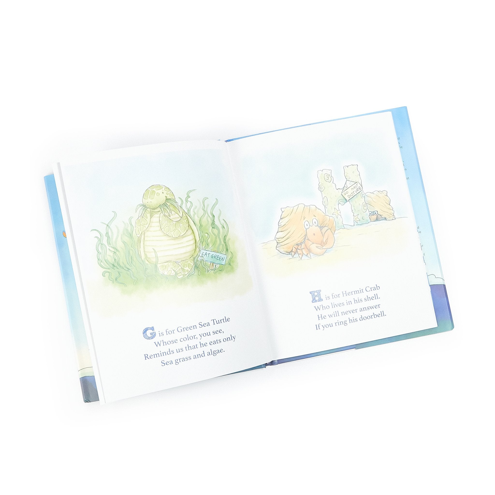 Avery Aviator Explores the Sea A-Z Book
