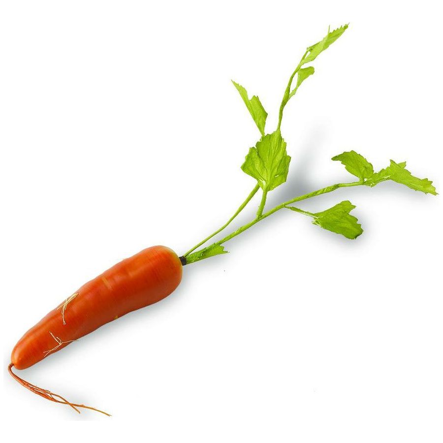17" Orange Long Carrot