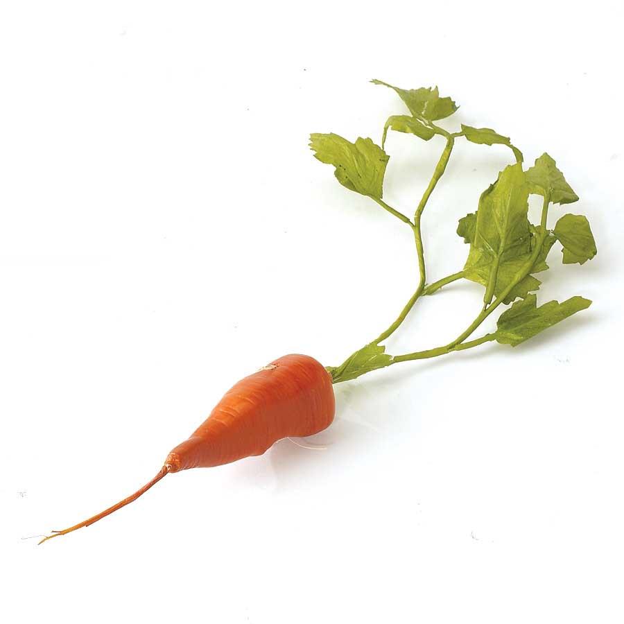 Faux Orange Carrot -  Short