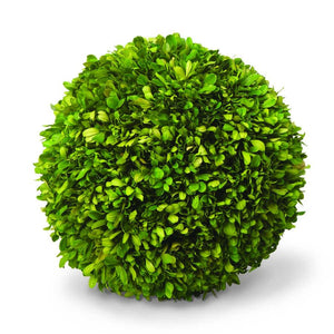 Giant Preserved  Boxwood Ball