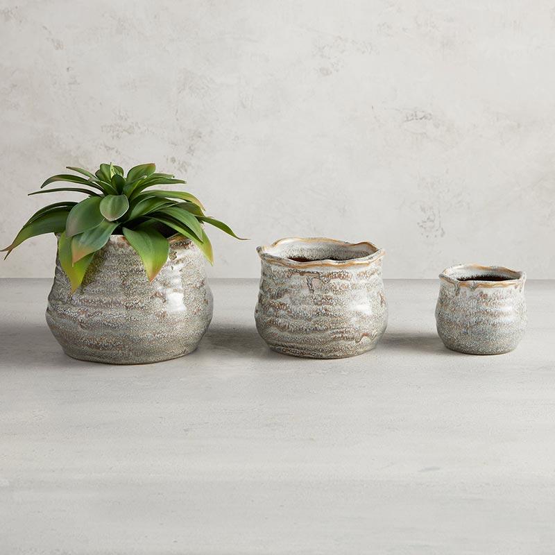 Clary Sage Pot