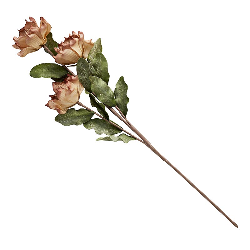 Botanica #002