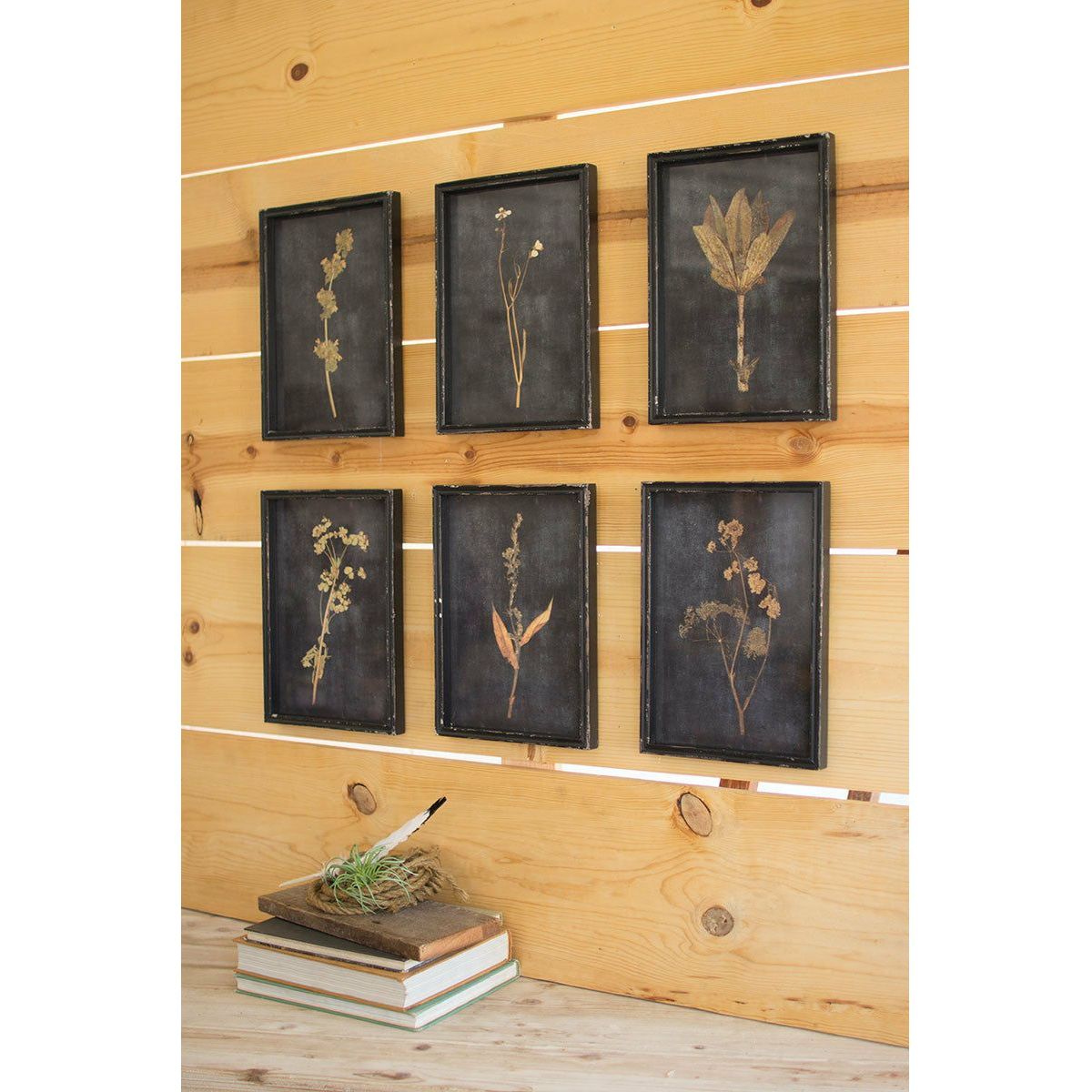 Black Framed  Botanical Print