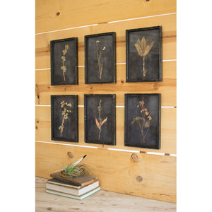 Black Framed  Botanical Prints