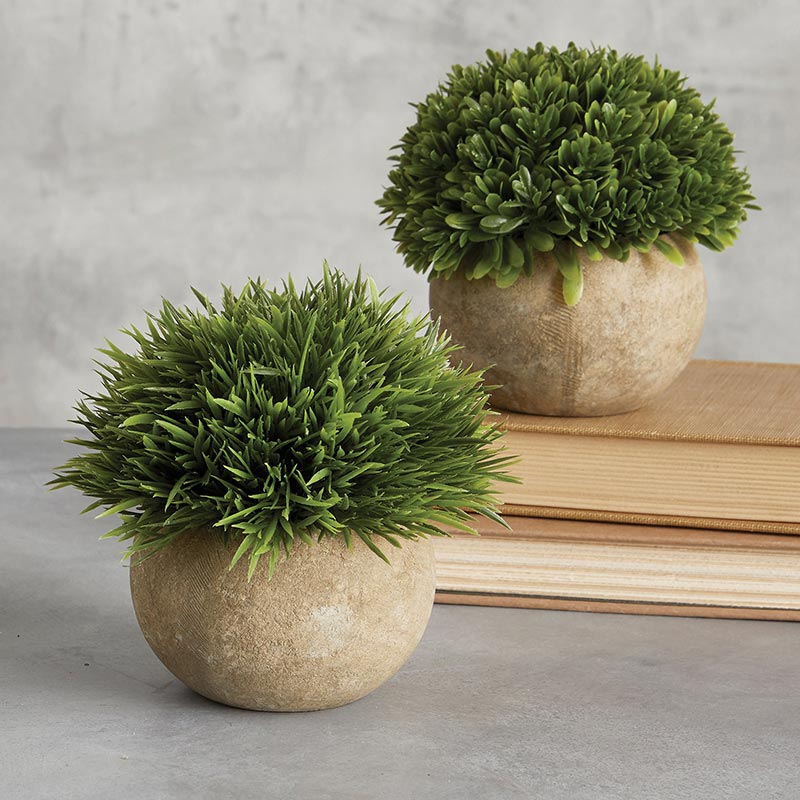 Grass Pot