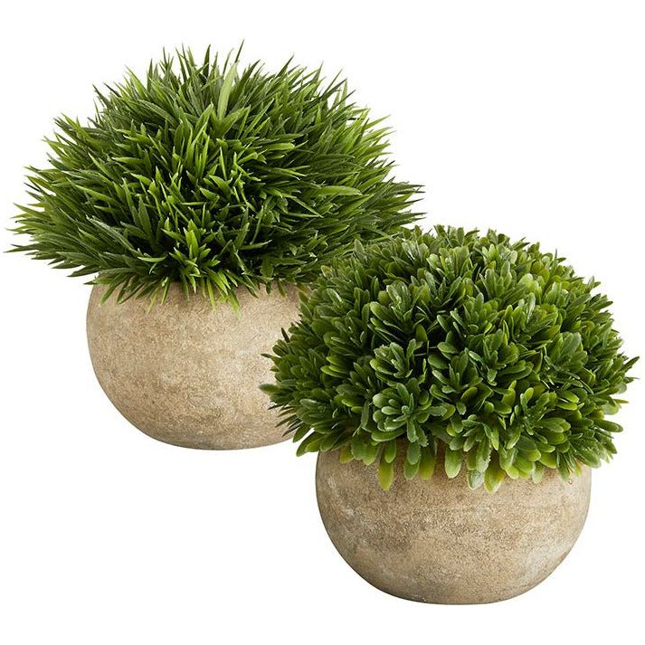 Grass Pot