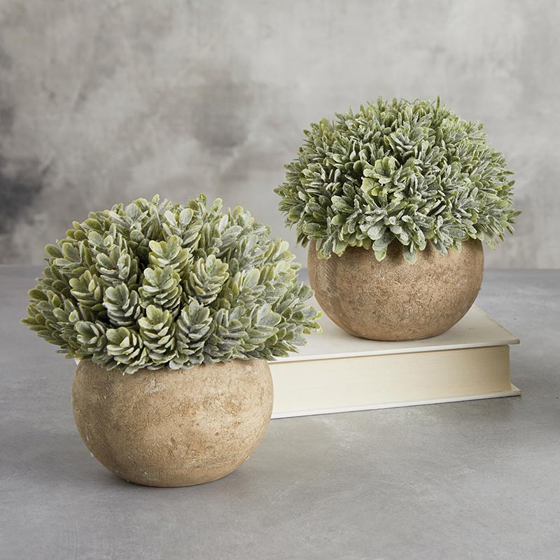 Grass Pot
