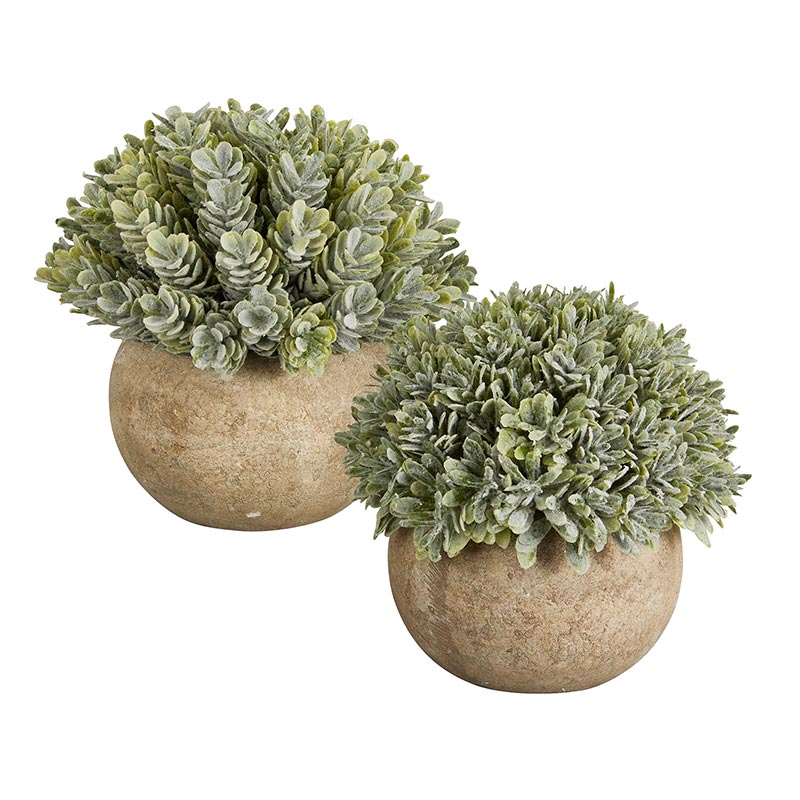 Grass Pot