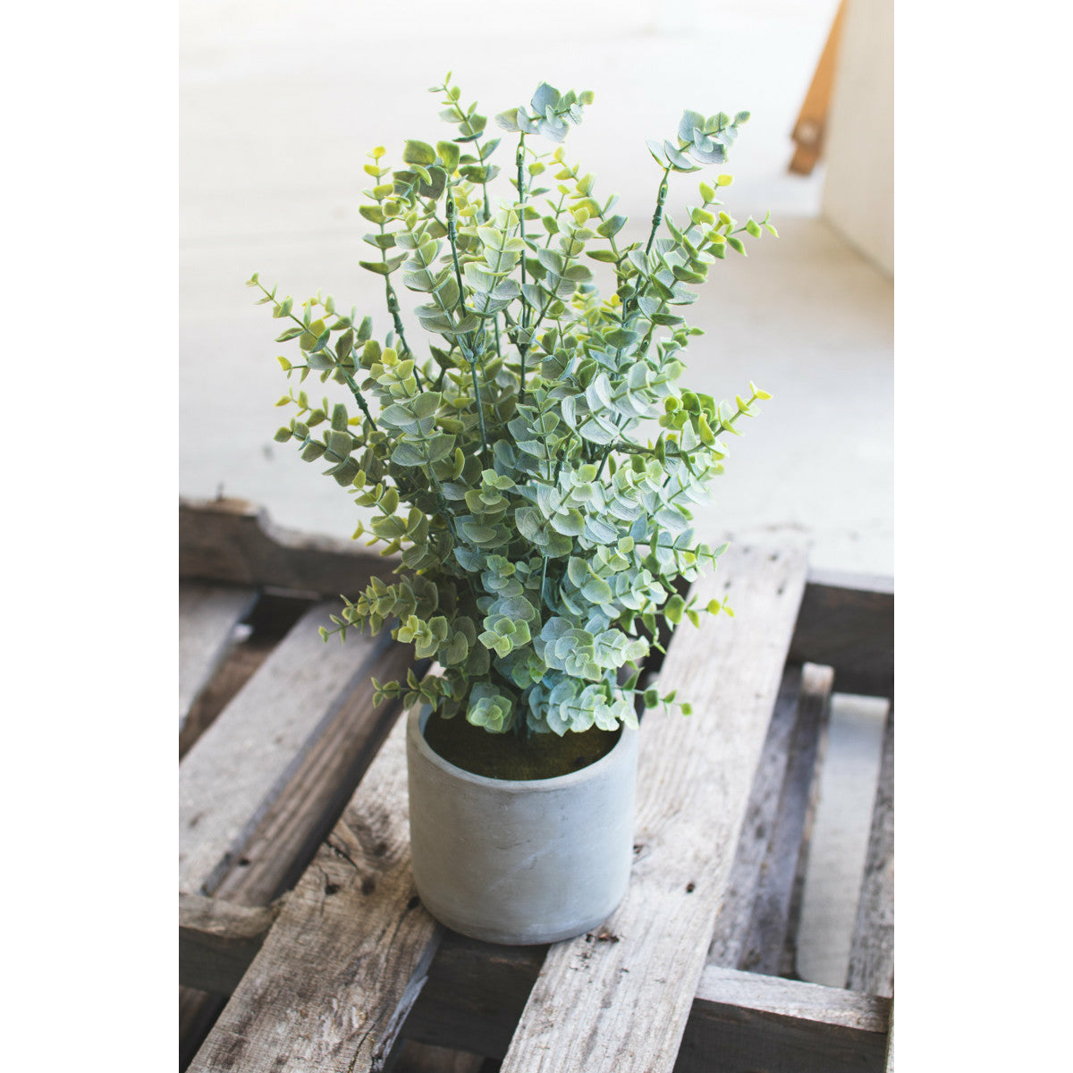 Faux Boxwood Bush w/Round Concrete Planter