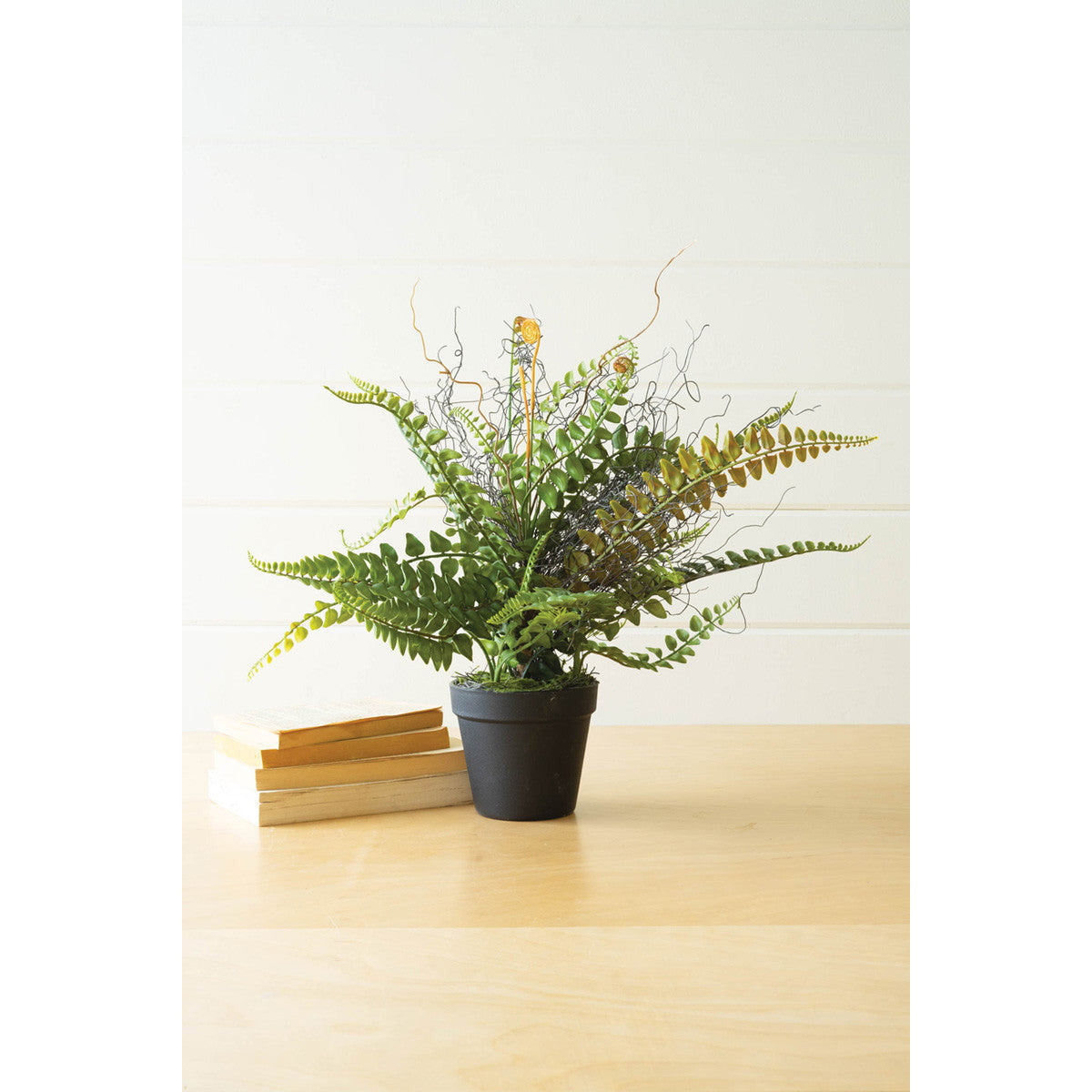 Faux Fern in Black Pot