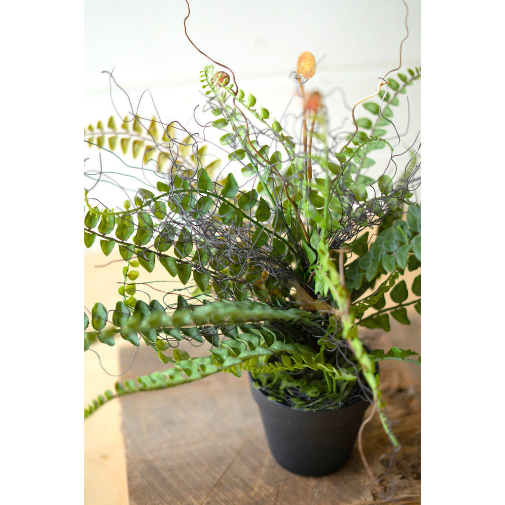 Faux Fern in Black Pot