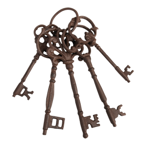 Skeleton Key Ring