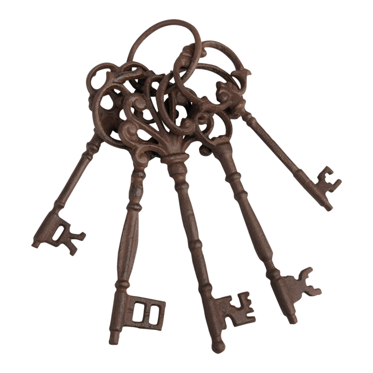 Skeleton Key Ring
