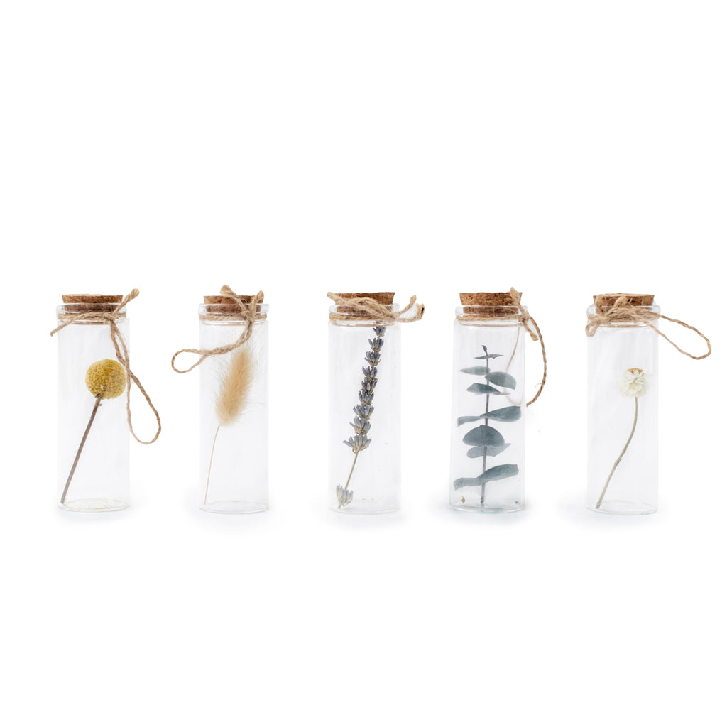 Dried Botanical Bottle