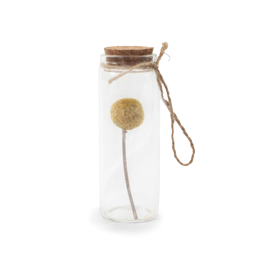 Dried Botanical Bottle