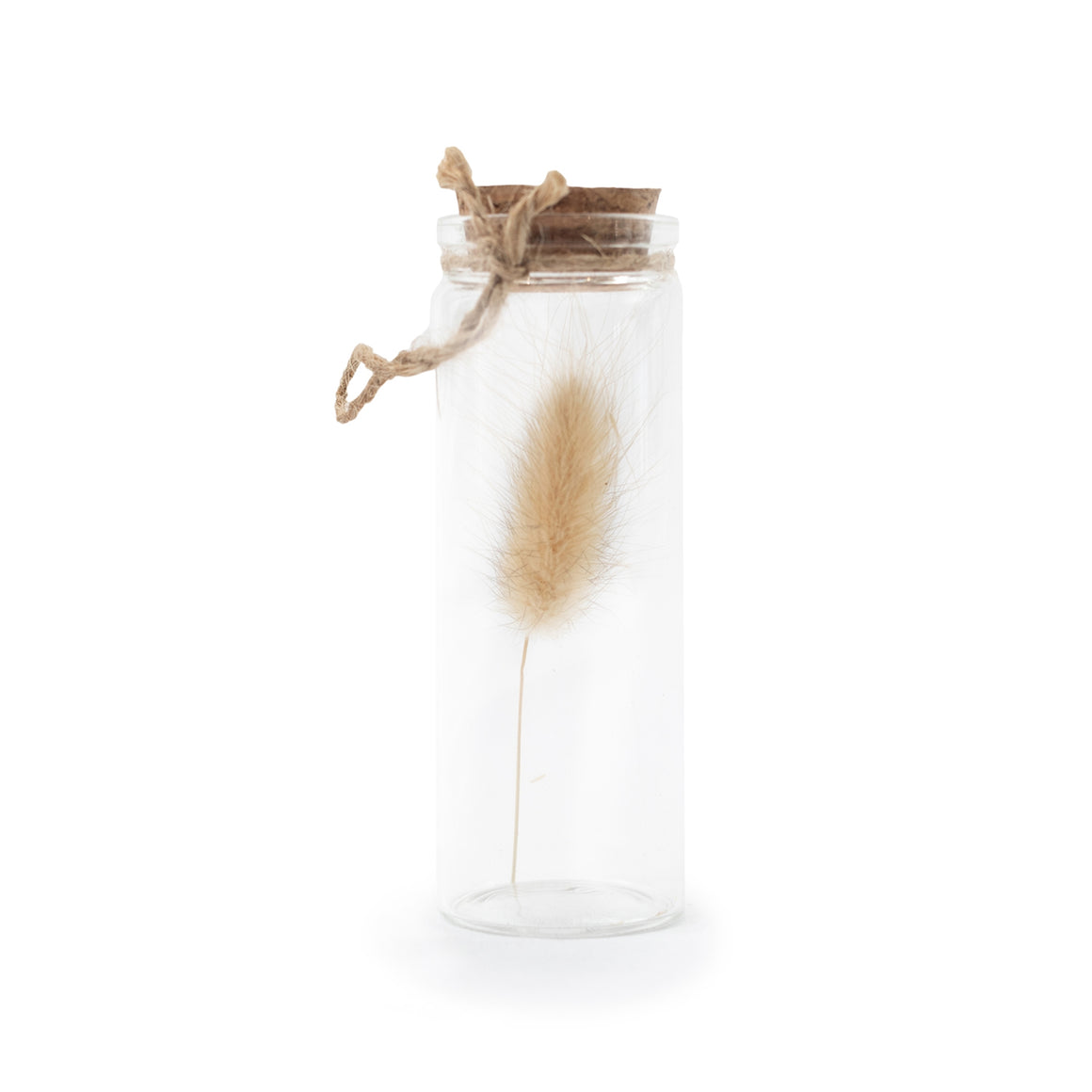 Dried Botanical Bottle