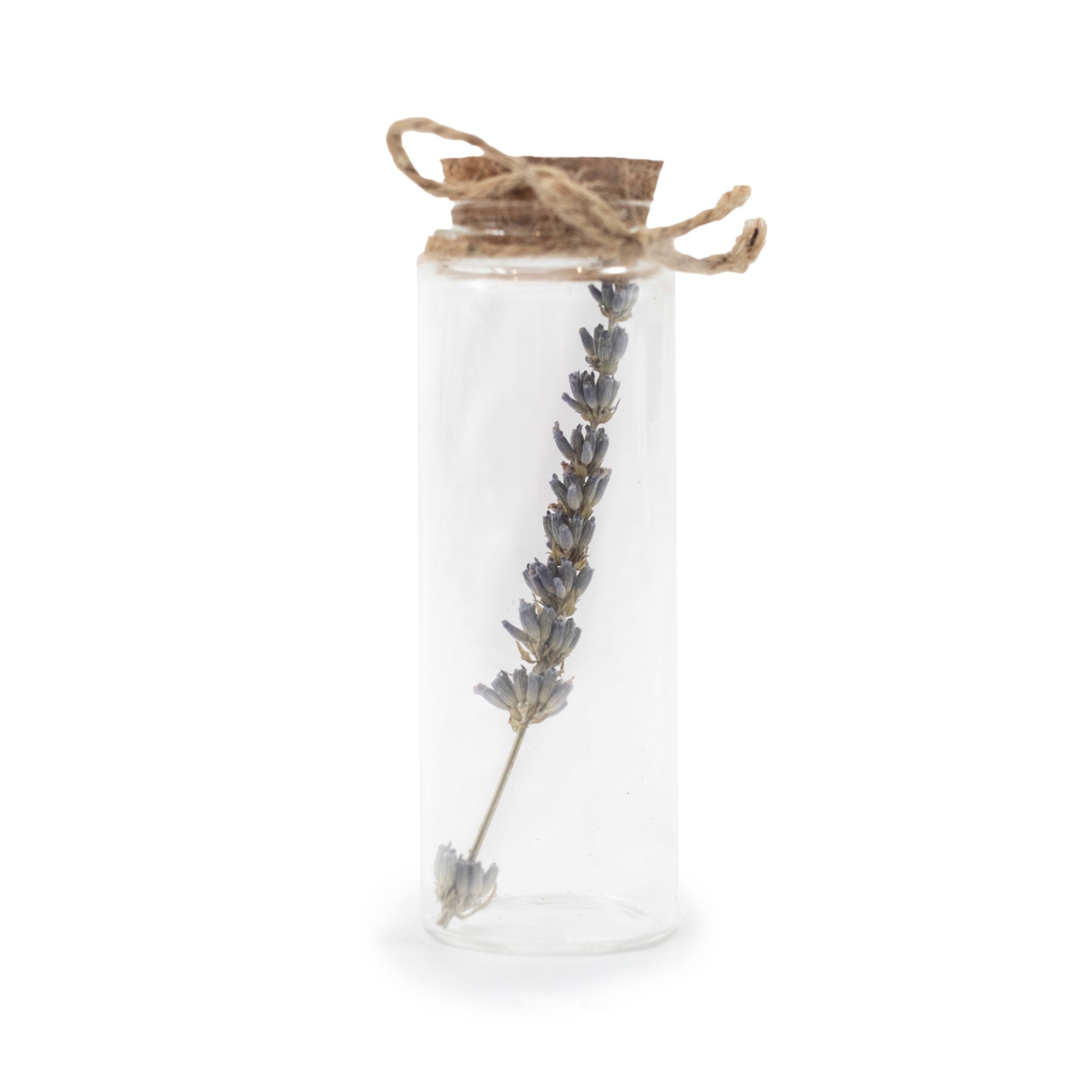 Dried Botanical Bottle