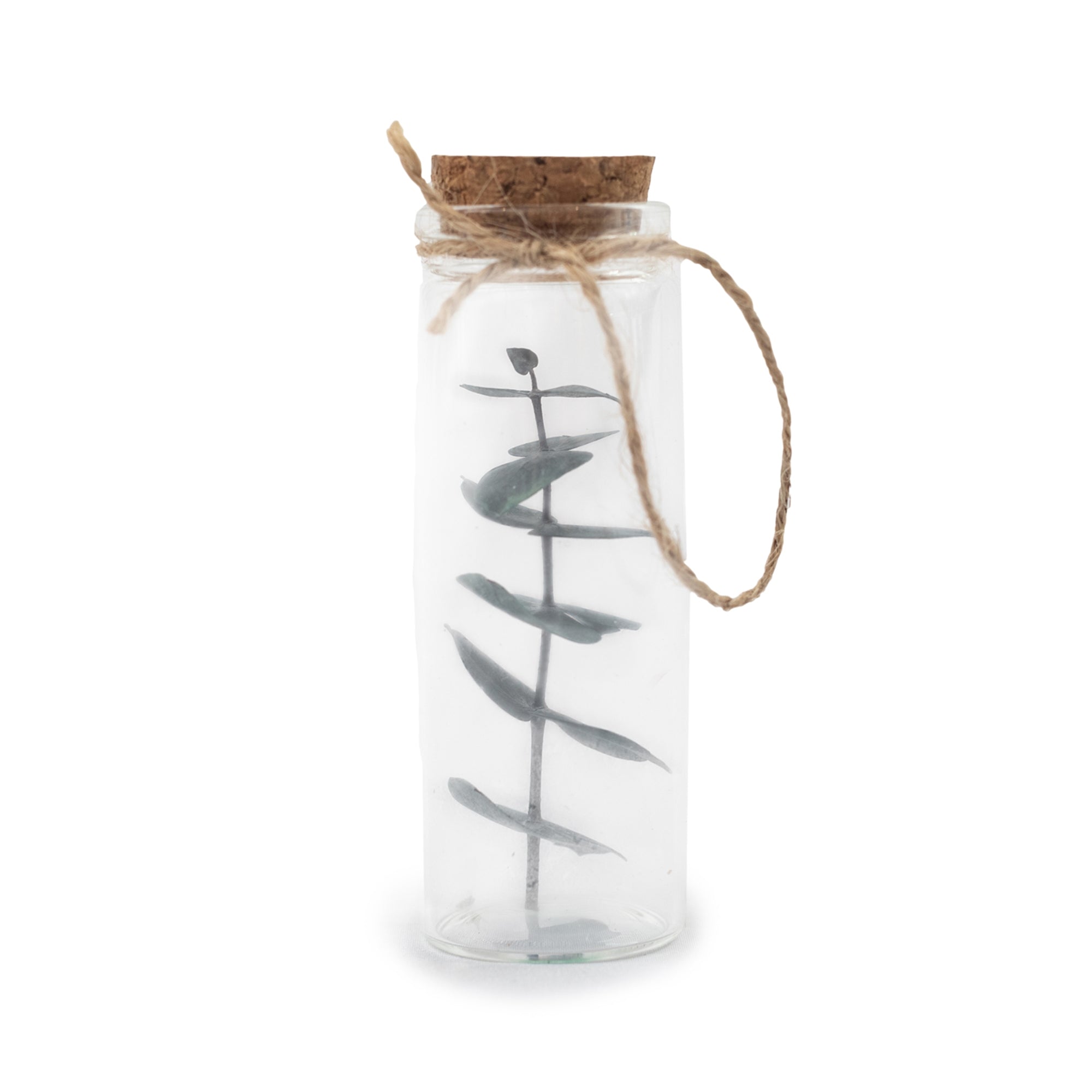 Dried Botanical Bottle