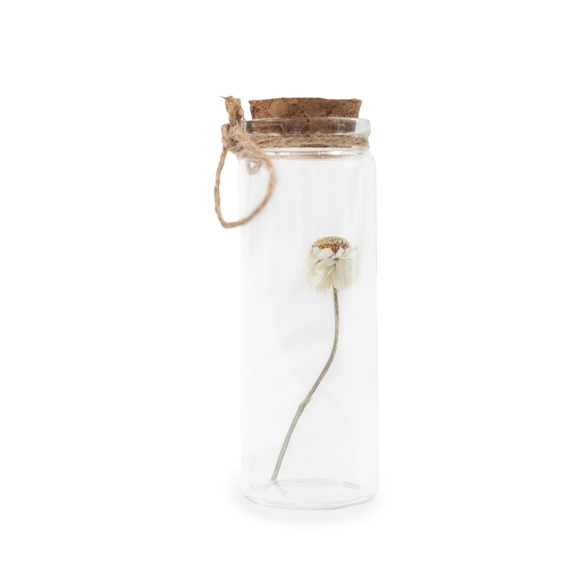 Dried Botanical Bottle