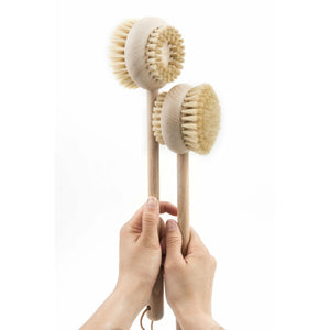 Beech Wood Handled Body Brush