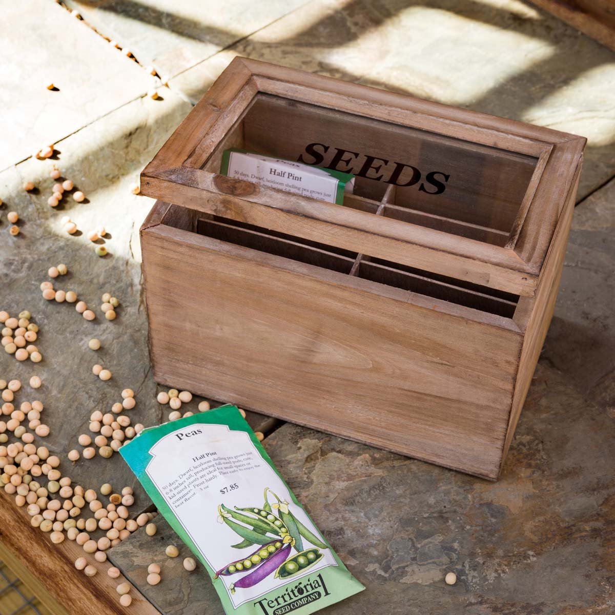 Seed Storage Box