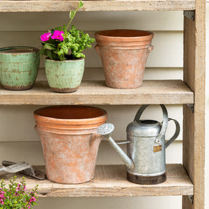 Petite Potager Metal Watering Can