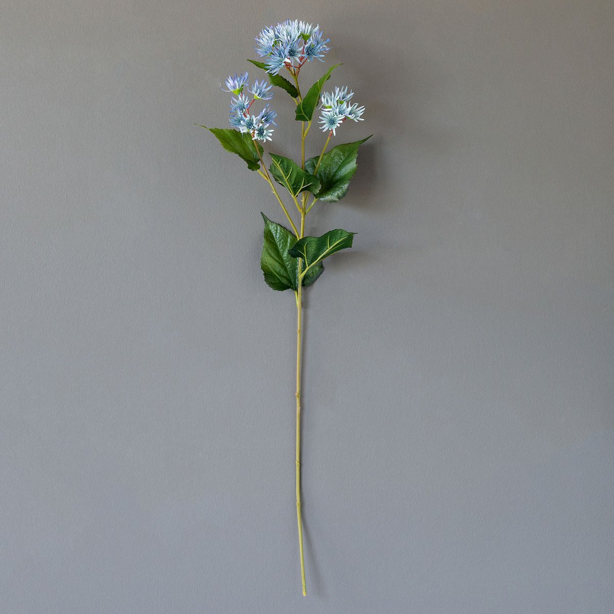 Crafted Wild Bergamot
