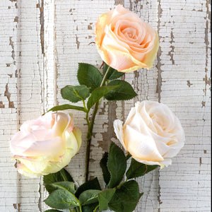Crafted Garden Rose - Blush
