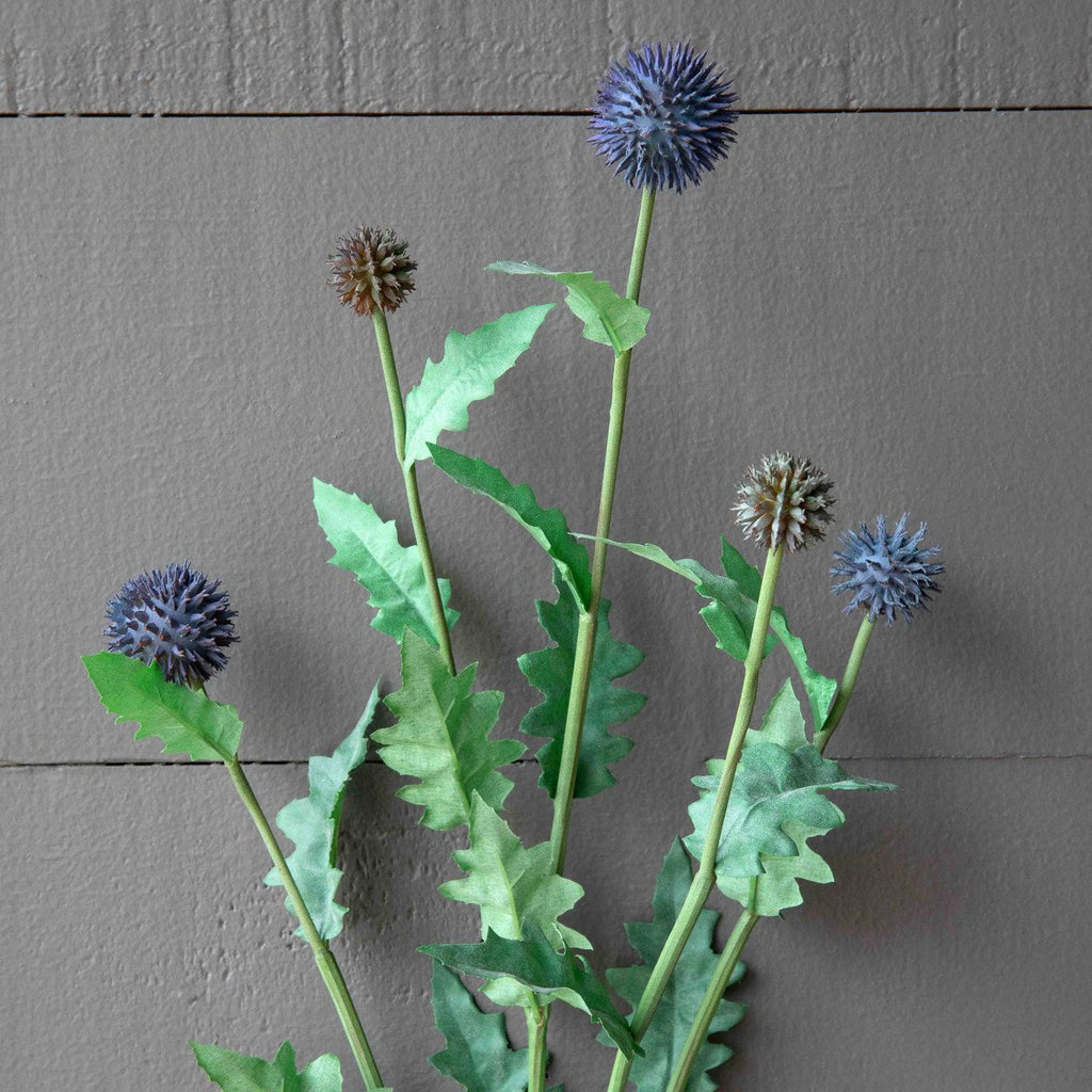 Globe Thistle Stem