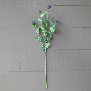 Globe Thistle Stem