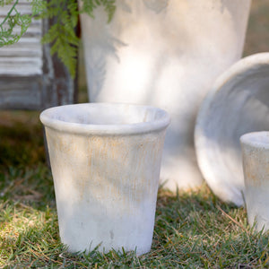 Distressed Concrete Pots & Planters